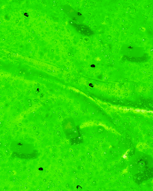 Паста за зъби Ябълка и киви